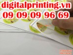 Công ty Digital Printing in quảng cáo giá rẻ TPHCM
