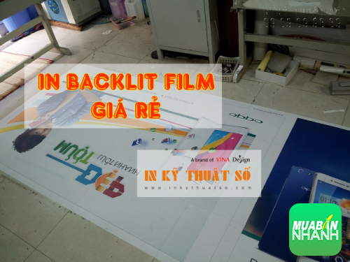 In backlit film giá rẻ, in backlit film trong nhà, in backlit film ngoài trời giá rẻ