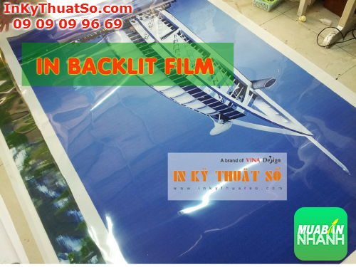 In backlit film giá rẻ tại Tp.HCM